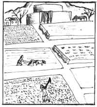 Agriculture m�sopotamienne